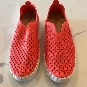 Ilsa Jacobsen Tulip flats.